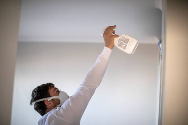Best Black Mold Removal  in Baltic, CT