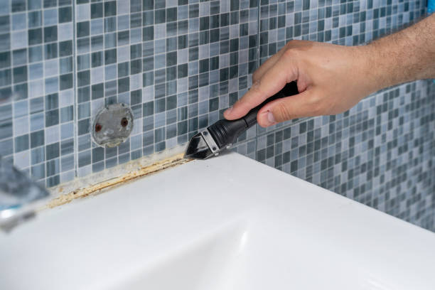 Best Commercial Mold Removal  in Baltic, CT