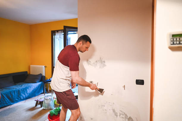 Best Emergency Mold Removal  in Baltic, CT